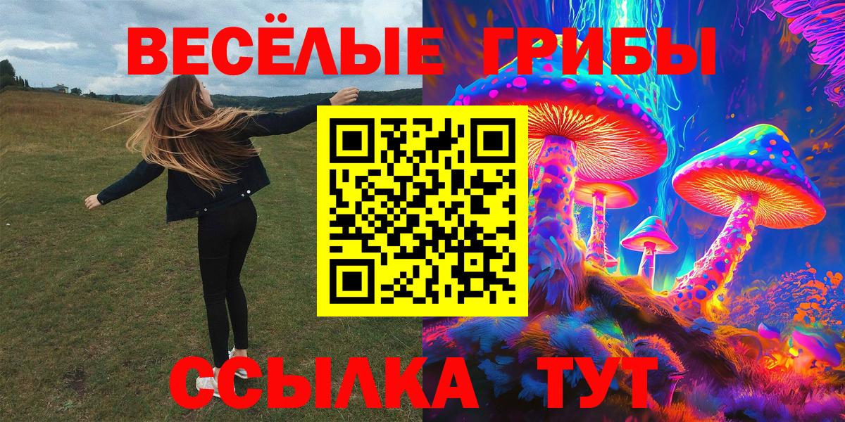 Подольск  Галлюциногенные грибы MAGIC MUSHROOMS  Вход с VPN 